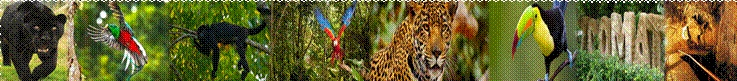 LAGOS DE MONTEBELLO Y TRASLADO A SAN CRISTOBAL